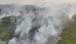 Kabut Asap Kalimantan Makin Parah, 108 Sekolah di Sarawak Malaysia Terpaksa Diliburkan