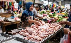 Pedagang dan Warga Keluhkan Harga Daging Ayam Tinggi, Mendag Sebut Bagus untuk Peternak