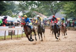 78 Kuda Siap Berlaga di IHR Merdeka Cup 2026 Payakumbuh