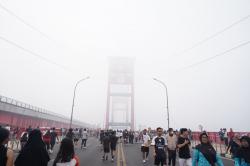 Medio Juli Titik Panas Melonjak 549 Persen, Pantau Gambut Sebut Bukti Pemerintah Gagal Kelola Lahan