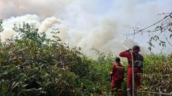 Banyak Anak Terserang Penyakit Akibat Kabut Asap, Pemkab Pelalawan Liburkan Sekolah