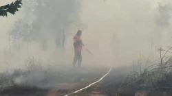 Bocah Rekam Aksi Bakar Lahan, 2 Pria di Palangka Raya Ditangkap Polisi