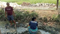 Kekeringan Melanda Karawang, Warga Terpaksa Gunakan Air Irigasi Keruh untuk Mandi