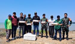 Penyelundupan Gagal! Petugas Temukan Puluhan Ribu Benih Lobster yang Hendak Dibawa ke Singapura