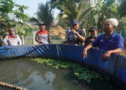 Sidat Jadi Komoditas Andalan Ubah Desa yang Awalnya Miskin untuk Lebih Berdaya