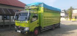 BREAKING NEWS: Truk Pupuk Bersubsidi Ilegal Ditangkap di Mamuju