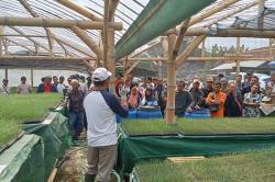 Peringati HUT RI ke-81, Petani Bawang Merah Didorong Makin Mandiri Hadapi Kemarau