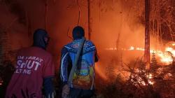 Karhutla di Palangka Raya Meluas Hingga Malam, Petugas Terobos Tebing dan Semak Belukar