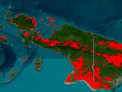 Maybrat Terancam Kemarau Panjang, Satgas Bencana Dinilai Mendesak Dibentuk