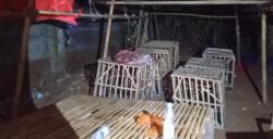 Arena Sabung Ayam di Gowa Diduga Beromzet Miliaran, Pemain Datang dari Luar Daerah