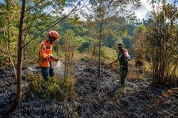 Karhutla 1 Hektare di Bukit Sentong Lumajang Berhasil Dikendalikan