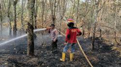 Api Lahap 400 Hektare Hutan dan Lahan di Berau, Terluas di Kaltim