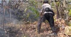 Jarak Titik Api Tinggal 1 Km dari Rumah Warga di Bulu Takkang Mamuju, Petugas Siaga 1