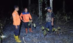 Hutan Kawunganten Cilacap Terbakar, 2 Hektare Lahan Hangus