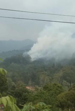 Kebakaran Gunung Burangrang Meluas, Sekitar 3 Hektare Lahan Kehutanan Terbakar
