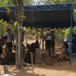 Warga Sembung Tulungagung Bongkar Makam Kuno, Diduga Peninggalan Majapahit