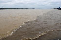 Air Sungai Mahakam Asin, Kadar Garam Tembus 3.600 PPM, IPA Anggana-Sangasanga Disetop