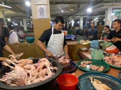 Harga Ayam Semakin Melambung di Sumut, KPPU Selidiki Rantai Pasok hingga MBG