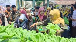 Khofifah Panen Sayur di SMA 2 Jombang, Tekankan Pemberdayaan Lahan Terbatas untuk Ketahanan Pangan