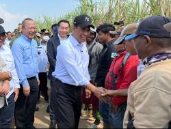 ‎Kementan Optimalkan Lahan Tebu Rakyat, Genjot Produksi Gula 3 Juta Ton ‎