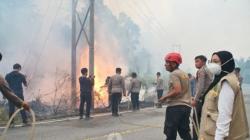 Api Karhutla Masih Muncul di Berau, Pemadaman Terkendala Sumber Air