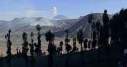 Bromo Gaspol, Semeru Masih Dikunci! Ini Alasan TNBTS Belum Buka Pendakian