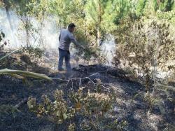 Diduga Akibat Buang Rokok Sembarangan, Lahan di Sumarorong Mamasa Hangus