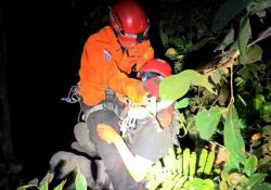 Pecinta Reptil Jatuh ke Jurang Curug Lawe Benowo Sedalam 40 Meter, Evakuasi Berlangsung Dramatis