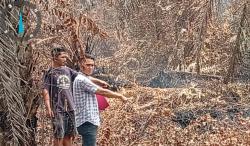 Kasus Perjarahan Hutan dan Karhutla, Polres Bengkalis Tetapkan 1 Tersangka