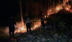 Hutan Ponorogo Terbakar 10 Hektare, DPRD Jatim Ingatkan Ancaman Karhutla Makin Serius