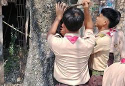 Sambut Estafet Tunas Kelapa Kwarda Jateng, Ratusan Anggota Pramuka Grobogan Gelar Aksi Bakti Masif