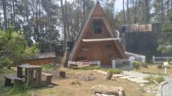 Staycation di Hutan Pinus Lembang Bareng Keluarga, Ini Penginapan yang Layak Dicoba