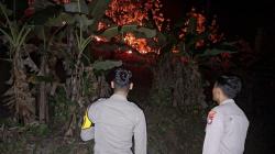 Lahan 2 Hektare Terbakar di Mapilli, Polisi dan Damkar Berjibaku Padamkan Api