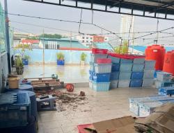 Majikan Ditemukan Tewas di Rooftop Rumah, Polisi Bekuk ART