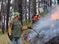 Nekat Tembus Tebing Terjal, Warga Jatiarjo Ceritakan Kisah Padamkan Api di Lereng Arjuno 2.860 Mdpl