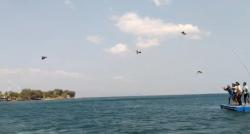 Unik! Puluhan Ayam Kampung Diterbangkan dari Tengah Laut di Pantai Pasir Putih Situbondo