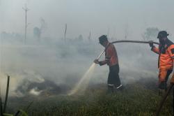 Karhutla di Sumsel Belum Usai, Dalam 11 Hari Muncul 11.978 Hotspot, 5.439 Ada di Konsesi Perusahaan
