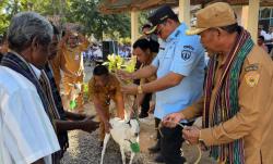 Jadi Modal Usaha Produktif, Bupati TTU Serahkan 20 Ekor Kambing Kepada Komunitas Adat