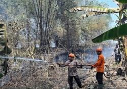 Gara-Gara Puntung Rokok, Rumpun Bambu Dekat Pemukiman di Toroh Grobogan Terbakar