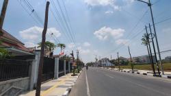 Diduga Mati Kepanasan, 108 Pohon di Trotoar jalan Panglima Polim Bojonegoro Kini Mengering