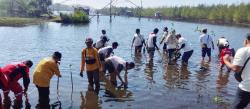 300 Pohon Ditanam di Pesisir Agrabinta, Mangrove Jadi Benteng Pantai Cianjur