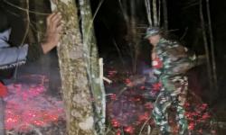 Usai Semeru, Karhutla Kini Melanda Hutan di Dekat Jalur Pendakian Gunung Lemongan