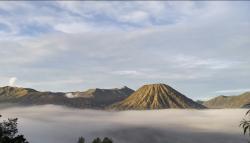 Perjalanan Wisata Jatim Menurun, Okupansi Hotel Ikut Tertekan