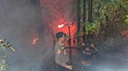 61 Titik Api Terdeteksi di Kawasan IKN, BNPB : 400 Hektare Lahan Terbakar