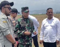 Sawah di Pidie Jaya Tertimbun Lumpur akibat Banjir Bandang, 30 Hektare Akan Ditanami Jagung