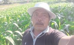 Pelapor Ungkap Modus Culas Penjualan Pupuk Subsidi Melebihi HET, Polres Tindak Lanjuti Laporan