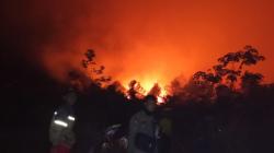 Karhutla Merembet ke Permukiman Warga di Muara Muntai, Satu Gedung Sarang Walet Hangus Terbakar