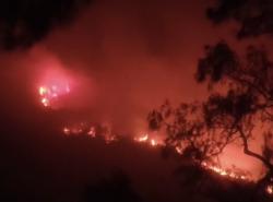 Kebakaran Meluas ke Kawah Ijen, Jalur Pendakian Ditutup Total hingga Waktu Belum Ditentukan
