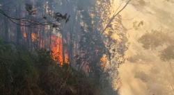 Kawah Ijen Dilalap Api Hingga ke Jalur Pendakian, Wisata Ditutup Total