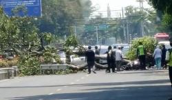 Innalillahi, Pasutri Tewas Tertimpa Pohon Tumbang di Jalan Pandanaran Semarang